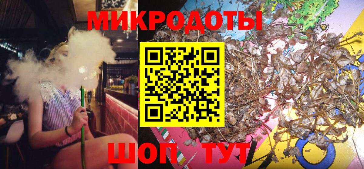 Псилоцибиновые грибы GOLDEN TEACHER Новосибирск